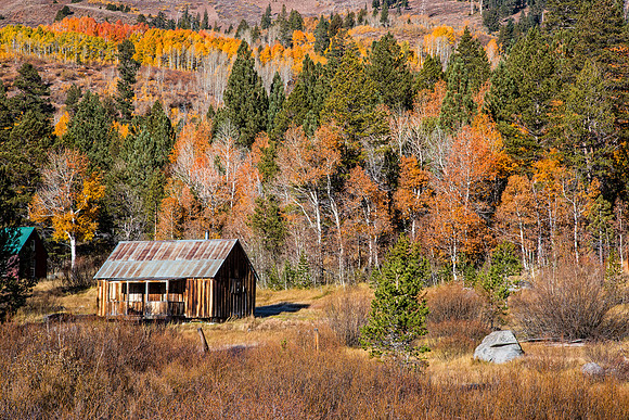 Cabin in the Woods at Hope Valley.  I just missed the peak colors here.