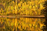Fall Reflection at Tern Lake