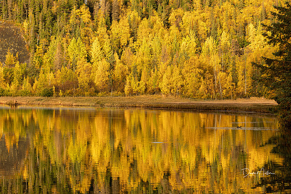 Fall Reflection at Tern Lake