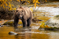 River Guardian