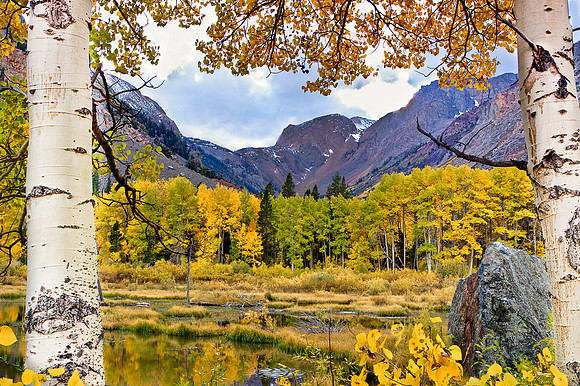 _MG_3571_2_3-Edit