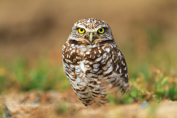 Here's looking at you!