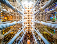 Amazing Cieling of Sagrada Familia