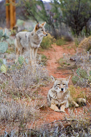 _MG_5050-Edit