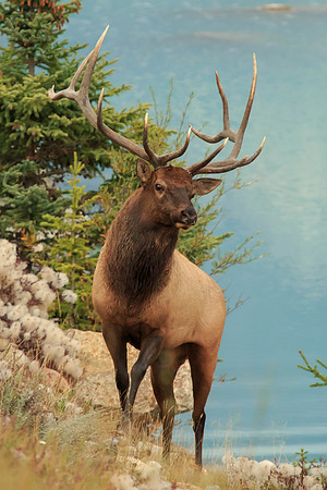 Nice Rack!