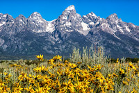 Grand Tetons from Gros Venture Road