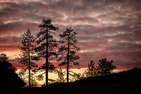 DHM_4925-Edit-Edit-Edit