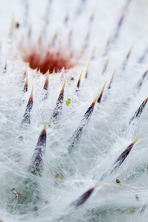 Spikes