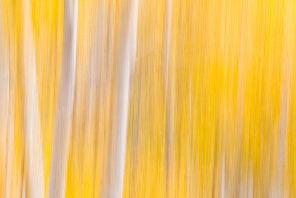 _MG_2582